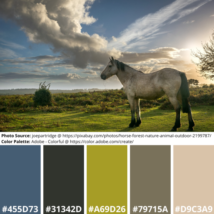 Sunset Horse Mood Board color palette
